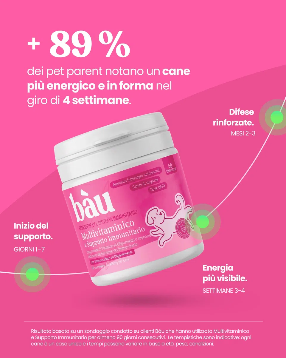 Bau Vitamine Cane per Supporto Immunitario in Compresse, Multivitaminico Difese Immunitarie, Energia e Recupero, Vitamine Cani per Dieta BARF, Post-Convalescenza, Vitamine per Cani Anziani -60cps