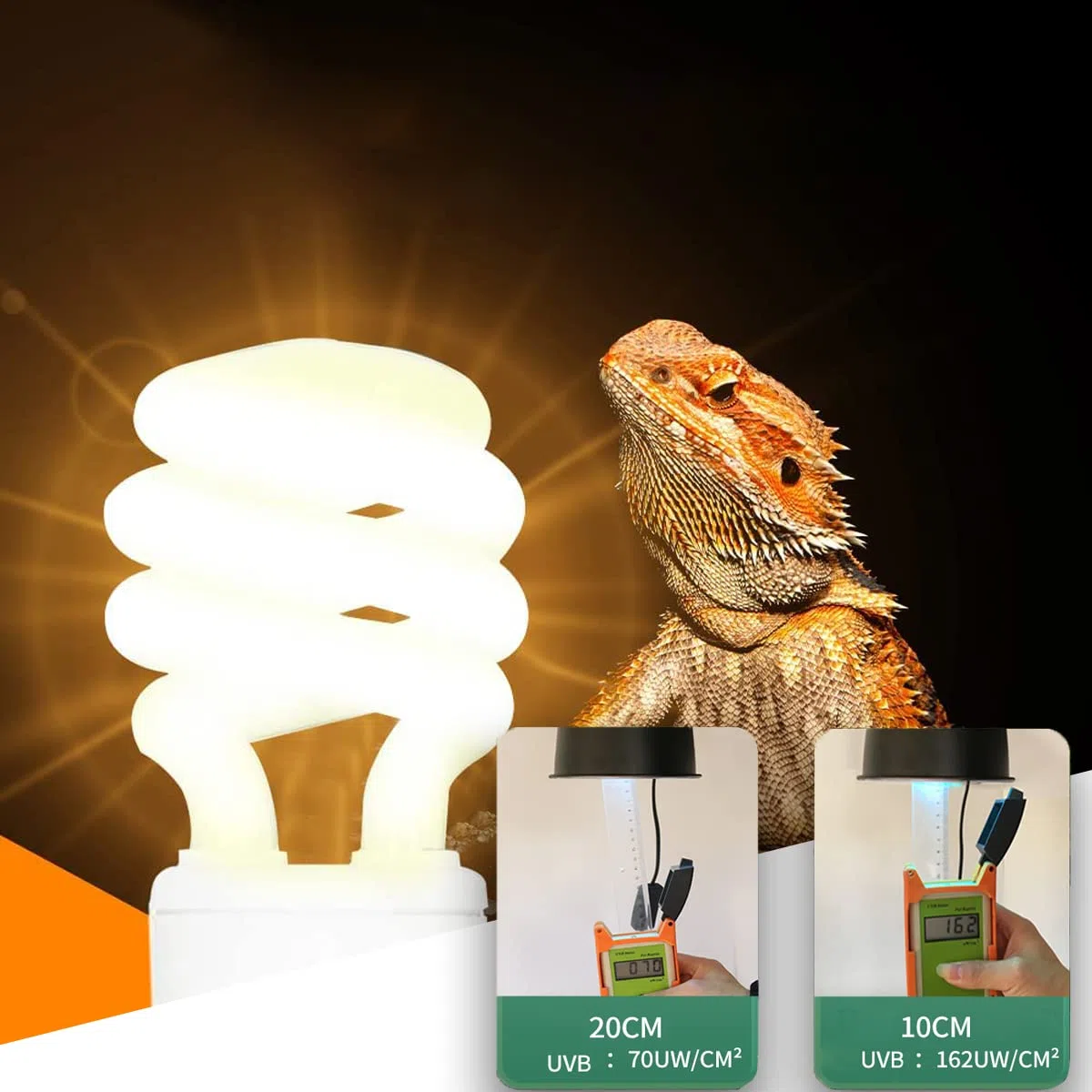 UVB Reptile Light 10.0, Lampadine Tartaruga Lampada da Terrario Compatta a Risparmio Energetico per Rettili del Deserto Serpente/Lucertola/Insetto/Tubo a Spirale Leopardo (UVB10.0 13W)