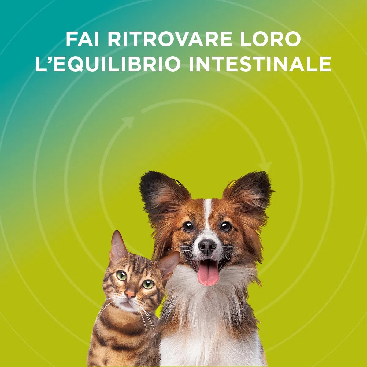 Entero SOS 7+7 Bustine - Mangime Complementare Per La Riduzione Dei Disturbi Intestinali Acuti. Fermenti Lattici Cane E Gatto In Caso Di Diarree Acute E Periodi Di Convalescenza Successivi.