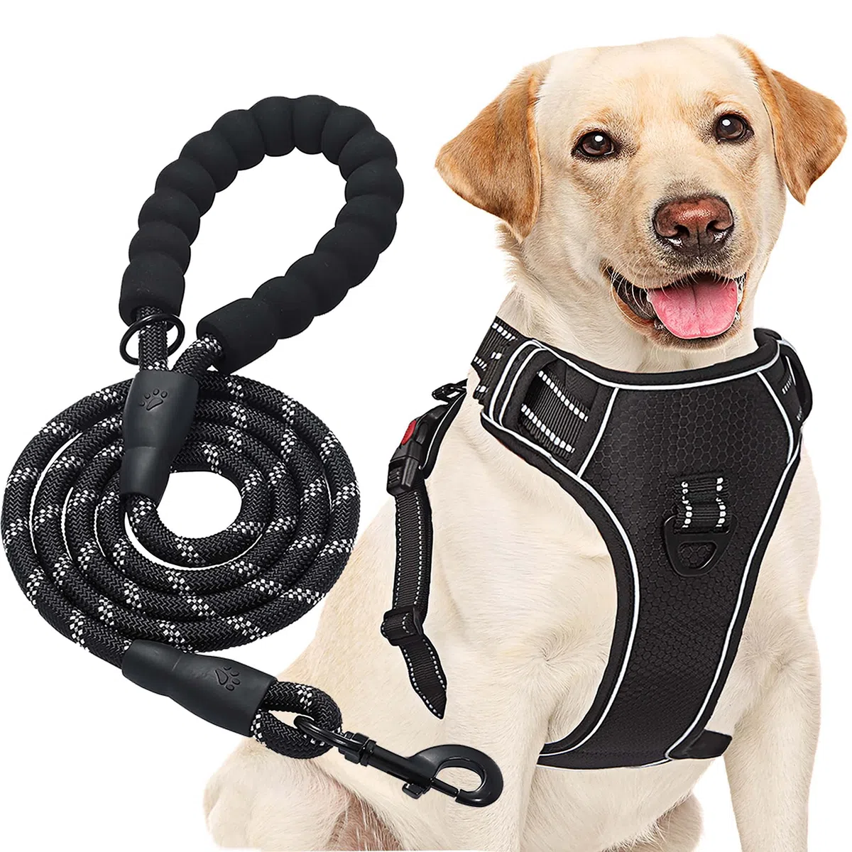 haapaw Pettorina per cani di taglia media regolabile riflettente Oxford Controllo Facile Con Guinzaglio Libero e Resistente Per Cani Grandi