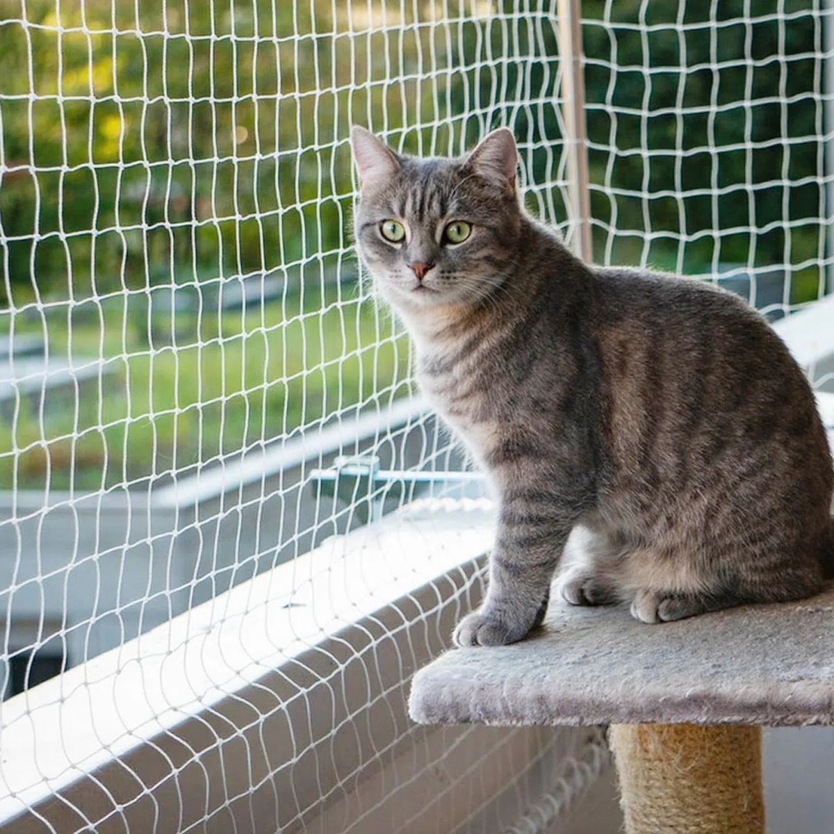 Rete per gatti per balcone – 10 x 3 m rete per gatti rinforzata con nylon ad alta resistenza senza foratura, rete per gatti con corda di fissaggio e accessori, per balconi e finestre