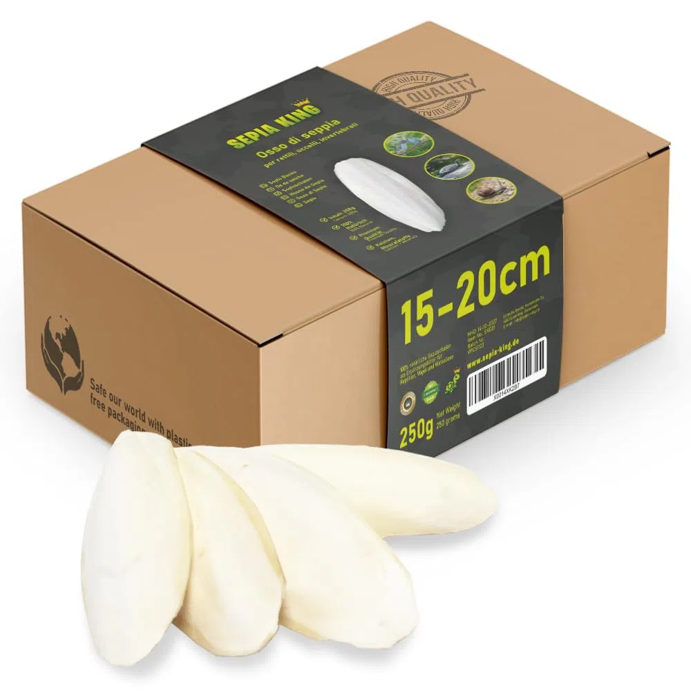 Sepia King - Ossi di Seppia grandi – Box XL 250g 15–20 cm – Calcio e minerali naturali – Osso di Seppia grande – Mangime per Rettili, Tartarughe, Drago Barbuto, Uccelli, Accessori Terrario