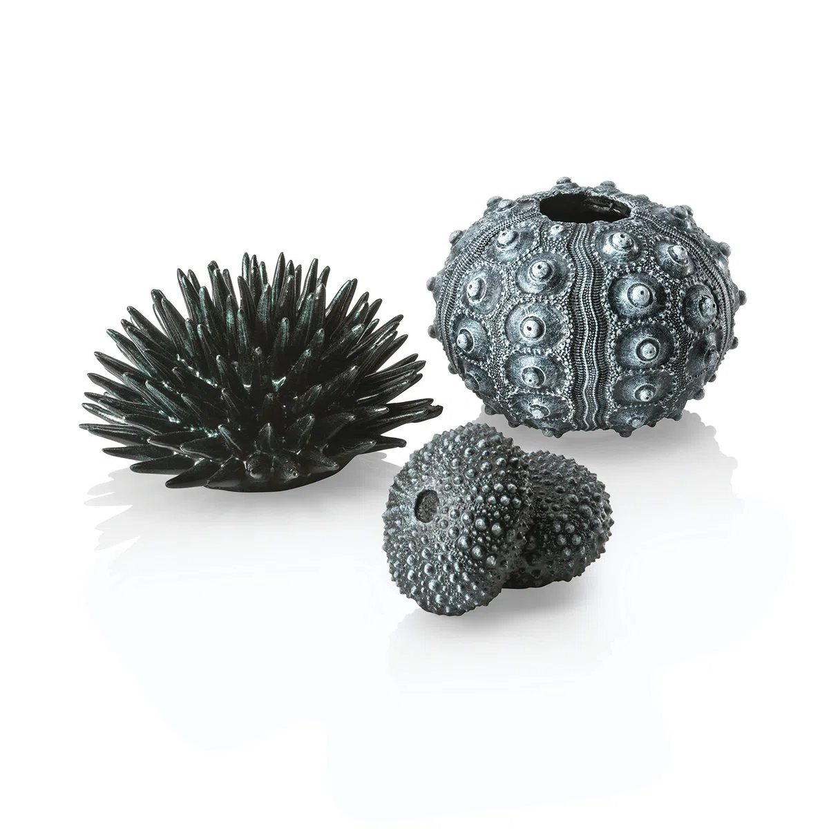 biOrb 48365 biOrb - Set di ricci per coda, colore: Nero