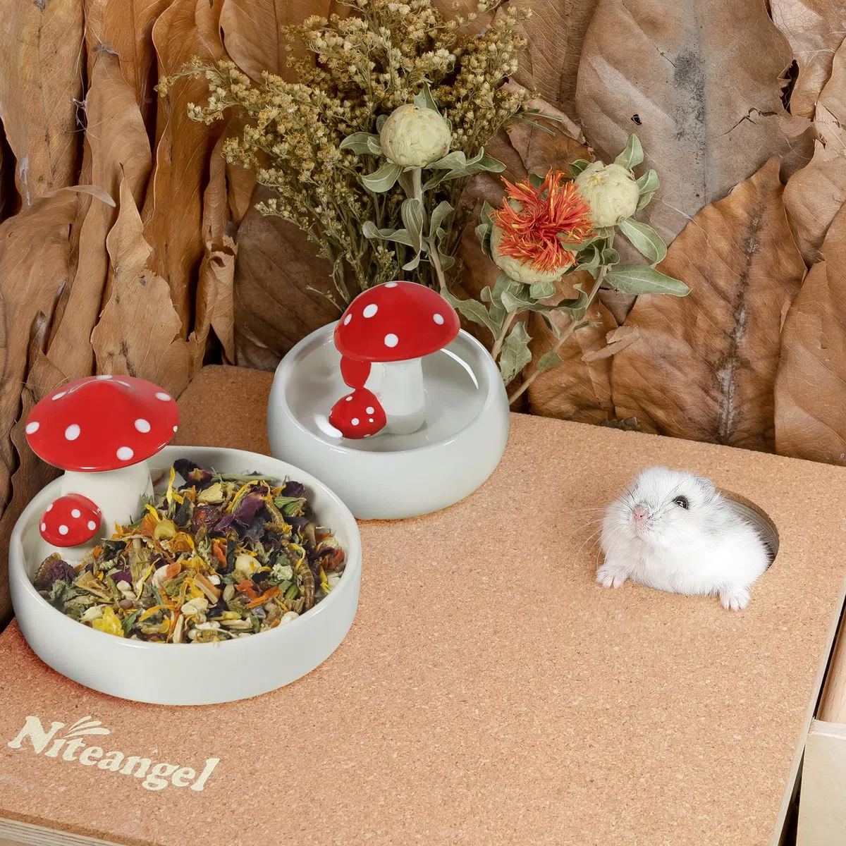Niteangel Ciotole per l'alimentazione e l'acqua per criceti, serie in ceramica per funghi, per criceti siriani nani, gerbilli, topi, ratti o altri piccoli animali domestici di dimensioni simili