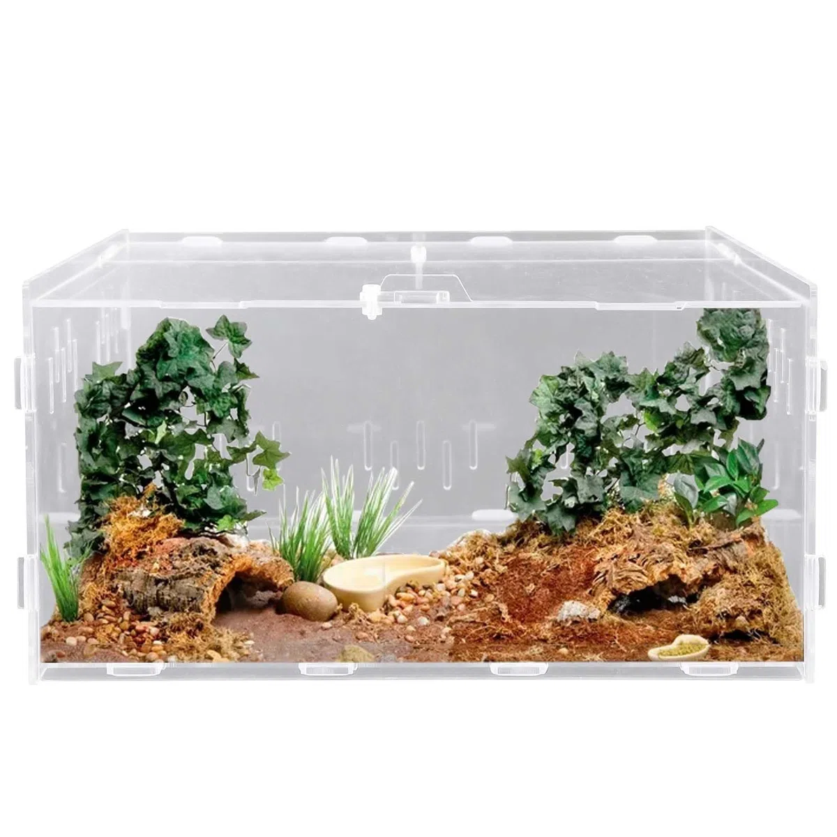 Reptil - Scatola di alimentazione in acrilico, 30 x 20 x 15 cm, per terrario rettile, per il trasporto di insetti, per tartarughe d'acqua, ragni, granchio eremita, criceto, lucertola