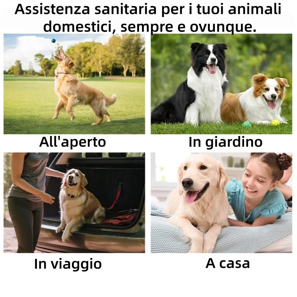 zampalife salviette dentali Adatto a cani e gatti,Confezione da 50 pezzi,Facile da usare, Riduzione Placca, Rinfresco Alito