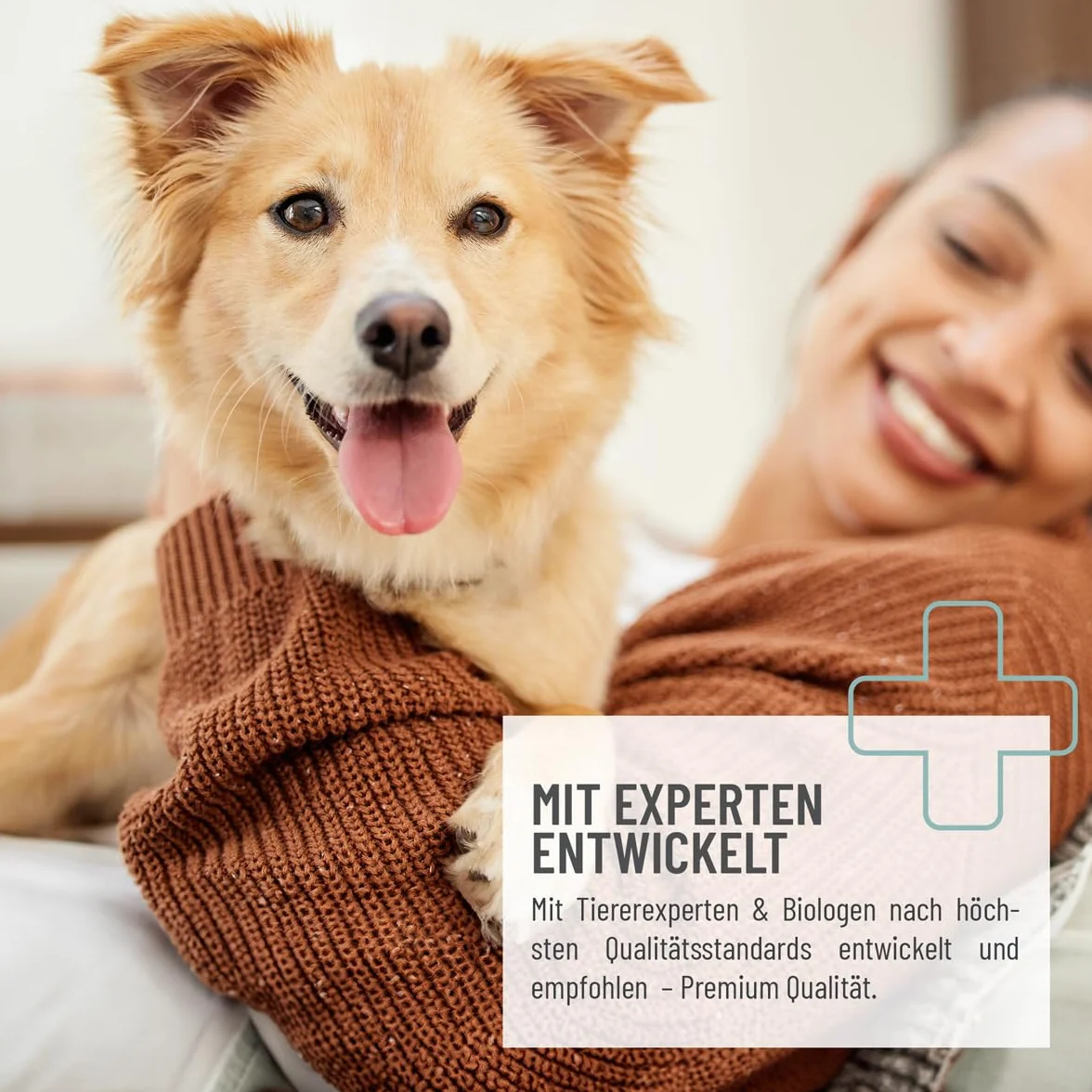 ReaVET Salviette per la cura del cane, 100 pezzi, XXL salviettine umidificate per cani, gatti, extra grandi, ipoallergeniche e antistrappo, salviettine umidificate per cani, per glutei, zampe, occhi e