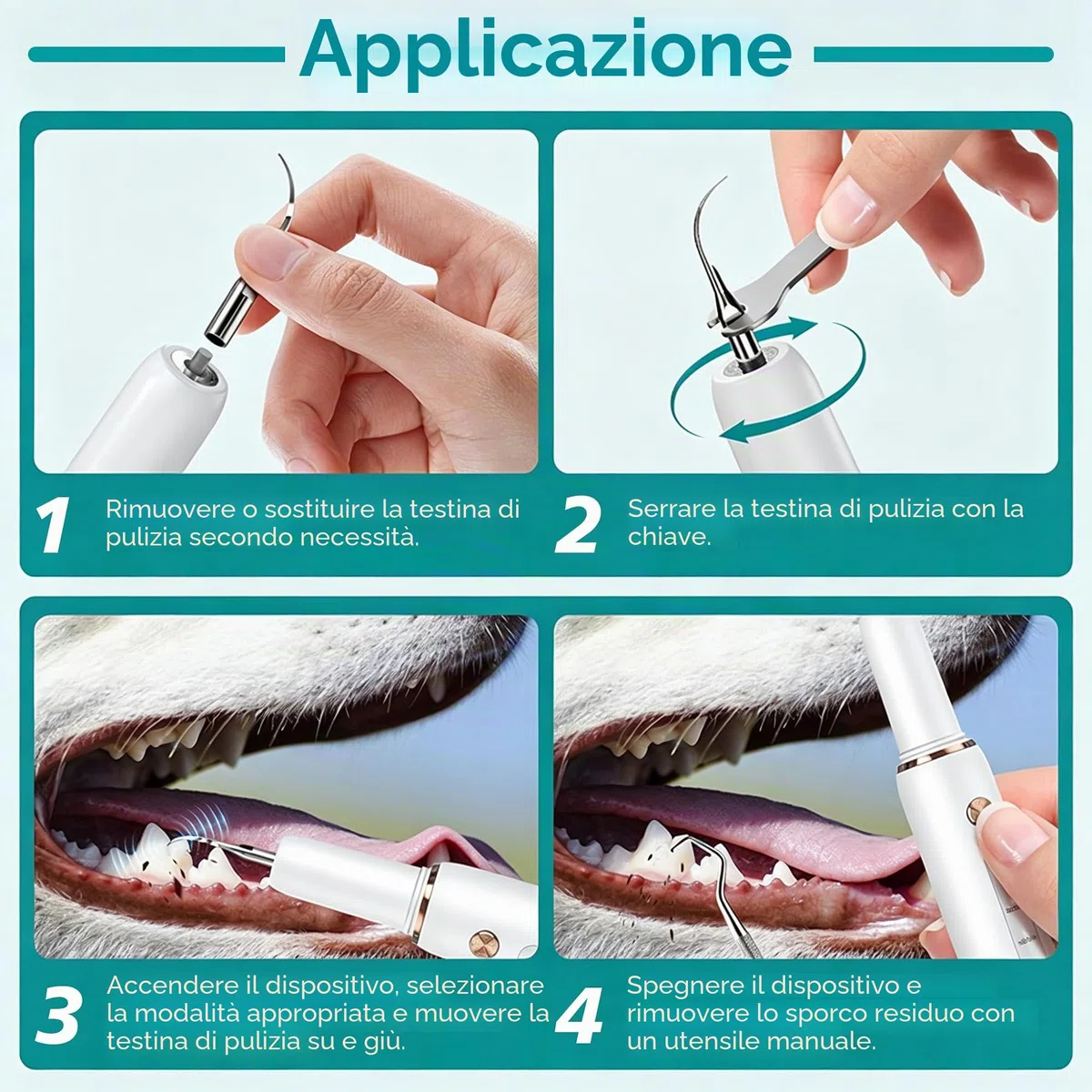 FIVAVA Pulizia Denti Cane, Pulizia Denti Tartaro per Cani e Gatti, Kit Pulizia Denti, 5 Modalità di Pulizia, Rimuove il Tartaro, Ricaricabile (Bianco)