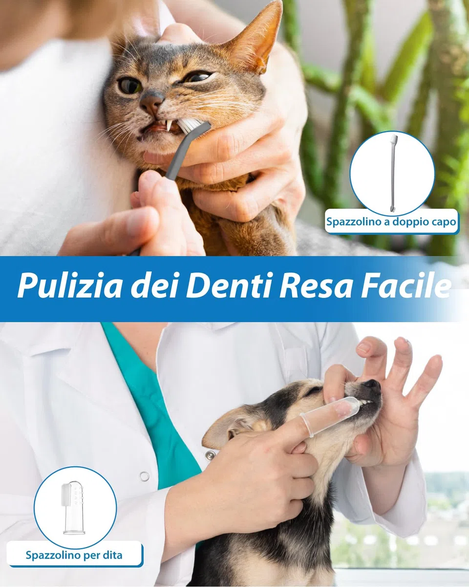 14-in-1 Kit Pulizia Denti Cane - Spazzolino Ultrasuoni Cani con Luce LED, 5 Modalità Elettrico Rimozione Della Placca Dentale per Animali Domestici, Pulisci Togli Tartaro e Macchie per Cani