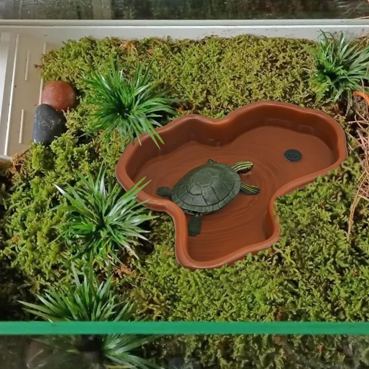 Piscina per Rettili, Vasca da Bagno per Tartarughe con Rampa, Vasca per Rettili, per L'alimentazione dei Rettili con Rampa, Grande Rettile Ciotola per Acqua, Grande Piscina per Tartarughe