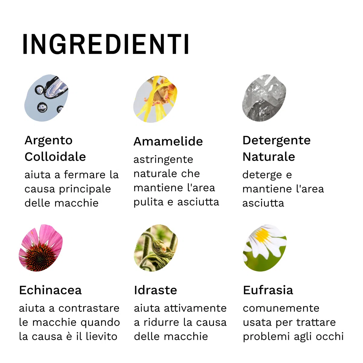 Eye Envy Kit per smacchiare lacrima del Cane | Tear Stain Essentials in Un Kit in Un Sistema a 2 Fasi | Dura 30-45 Giorni | Soluzione 2 Once fluide