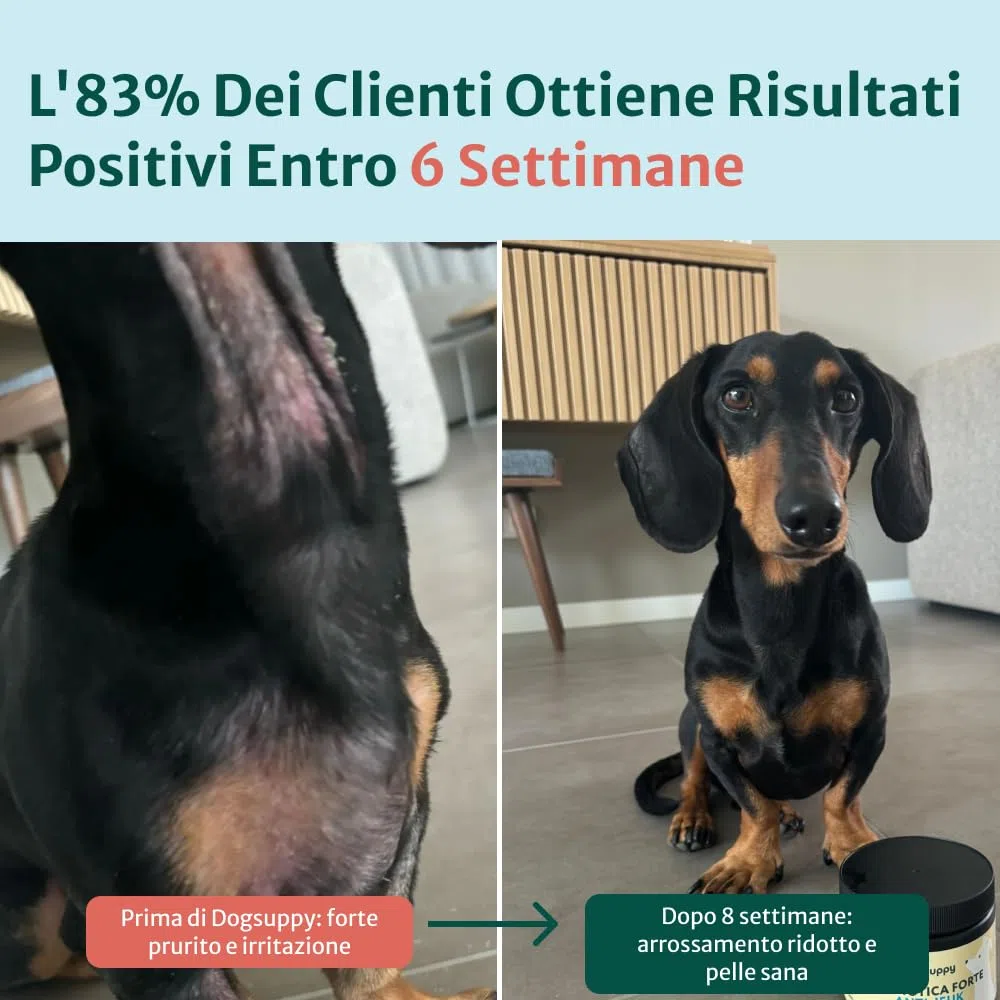 DogSuppy Sollievo Prurito Probiotici per Cani – Ferma Prurito, Grattamento, Leccamento delle Zampe, Allevia Allergie e Lieviti, 100% Naturale, Sostiene Intestino e Immunità, Carne Bovina