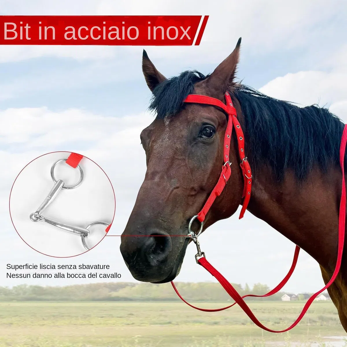 Testiera Briglia Da Addestramento Per - Testiera Regolabile, Set Di Briglie In Corda | Testiera E Redini Per , Briglia Da Equitazione Con Corda Per Equitazione In Scuderia, Accessori Pe