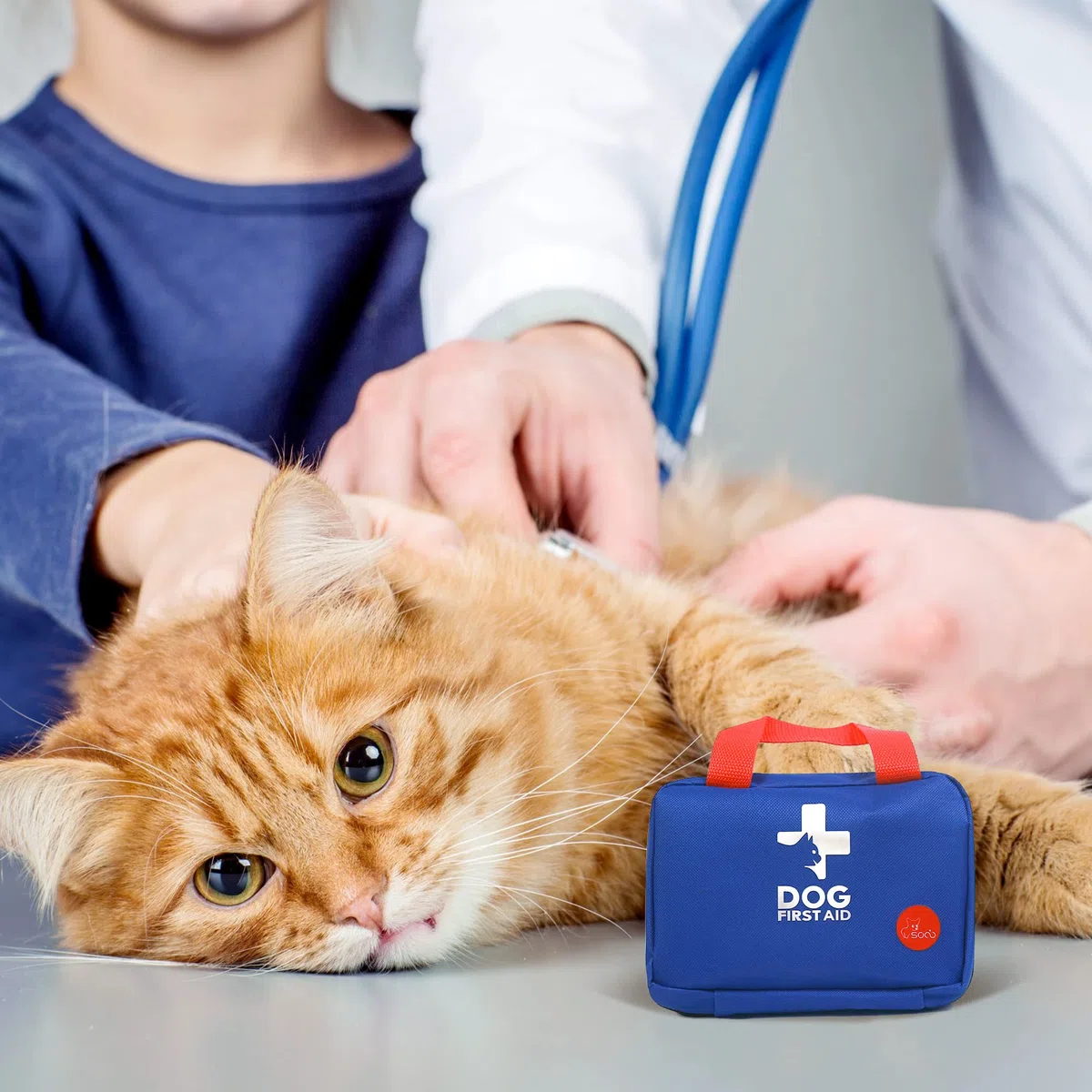 socio Kit di Pronto Soccorso per Animali Domestici,Borsa di Pronto Soccorso per Cani,Gatti,Animali,Prodotti Sanitari per Cani,Perfetto per Cura Domiciliare e Emergenze Durante Viaggi All'aperto