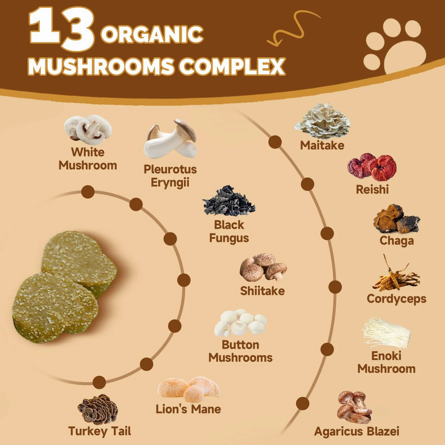 24 in 1 Funghi per Cani – Snack Masticabili ai Funghi con 13 Funghi, Beta-Glucani, Glucosamina, MSM, Vitamine – Supporto per Sistema Immunitario, Articolazioni, Pelle, Digestione – Gusto Pollo