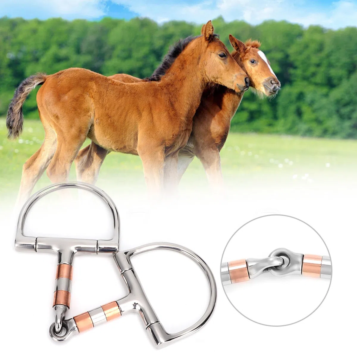 Morso per Cavallo con Bocca filettata ad Anello a D in Acciaio Inossidabile, morso per Cavallo con Bocca snodata a Rullo in Rame in Acciaio Inossidabile