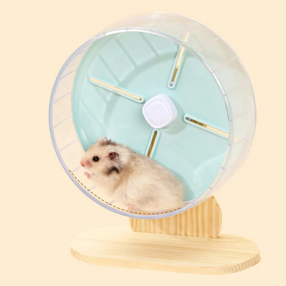 FRCOLOR Ruota per Criceti da 20 Cm di Ruota per Esercizi Silenziosa per Piccoli Animali Domestici Base Stabile Giocattolo per Attività con Animali Domestici Per Il Gioco E L'Attività