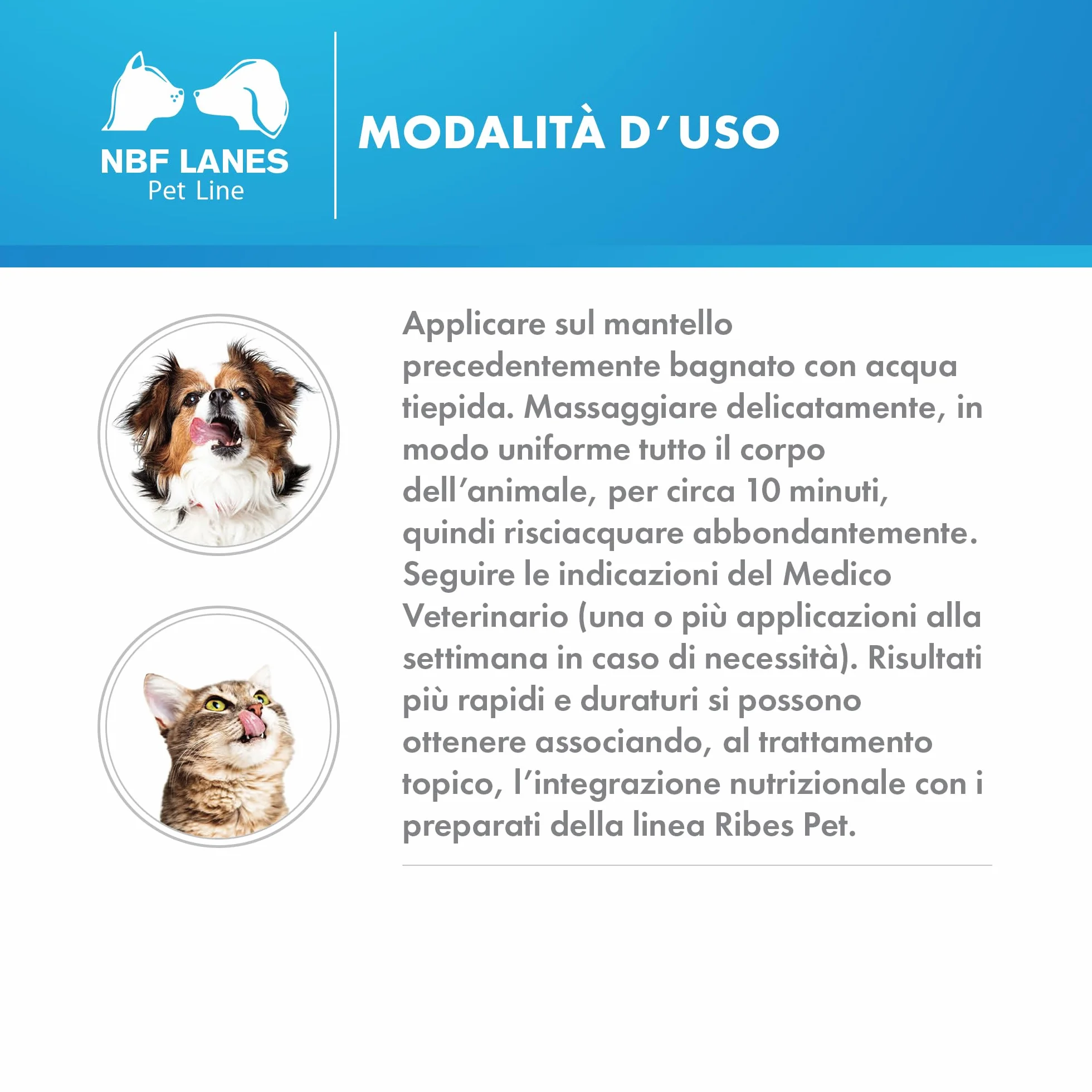 NBF Lanes | Ribes Pet Shampoo Balsamo Dermatologico Cane e Gatto 200 ml, per la Protezione di Pelo e Cute, pH 6,5, Ristrutturante, Riequilibrante