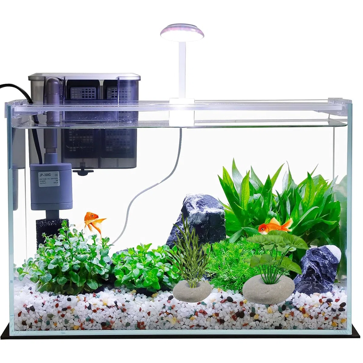 6 pesi per piante d'acquario, ancoraggi in pietra di ciottolo impediscono il nuoto per acquario, piante vive, decorazioni per acquari (diverse forme)