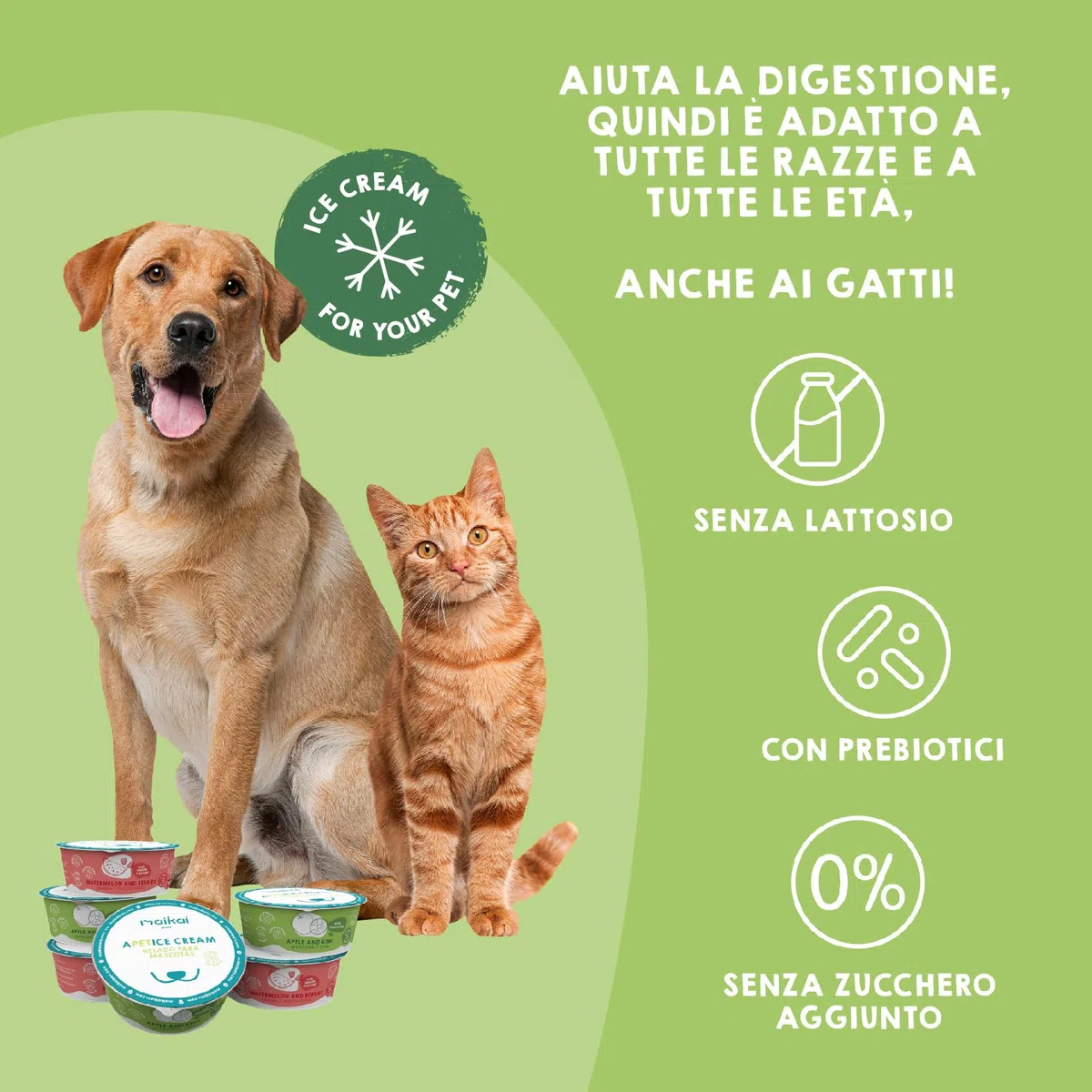 MAIKAI Confezione da 6 Gelati per Cani e Gatti – Snack Rinfrescante con Collagene e Inulina – Senza Lattosio, Idratante, Funzionale – Condroprotettore e Prebiotico Naturale per l’Estate