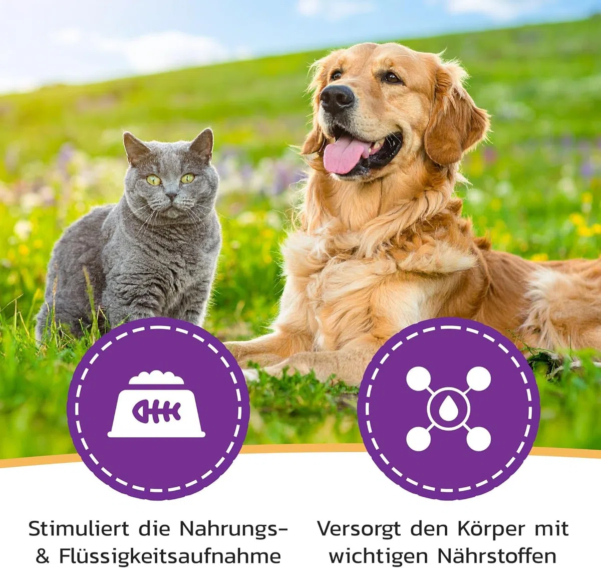 LiquidoCare Renal (180 ml) – Mangime complementare per cani e gatti – con verga d’oro, selenio, vitamine e acidi grassi omega – integrazione nutrizionale liquida