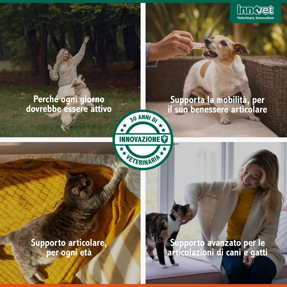 Glupacur Sollievo articolare per cani e gatti di tutte le età con PGA (Palmitoil-Glucosamina)), Estratto di curcuma longa e Vitamina E – Alimento complementare – 30 stick