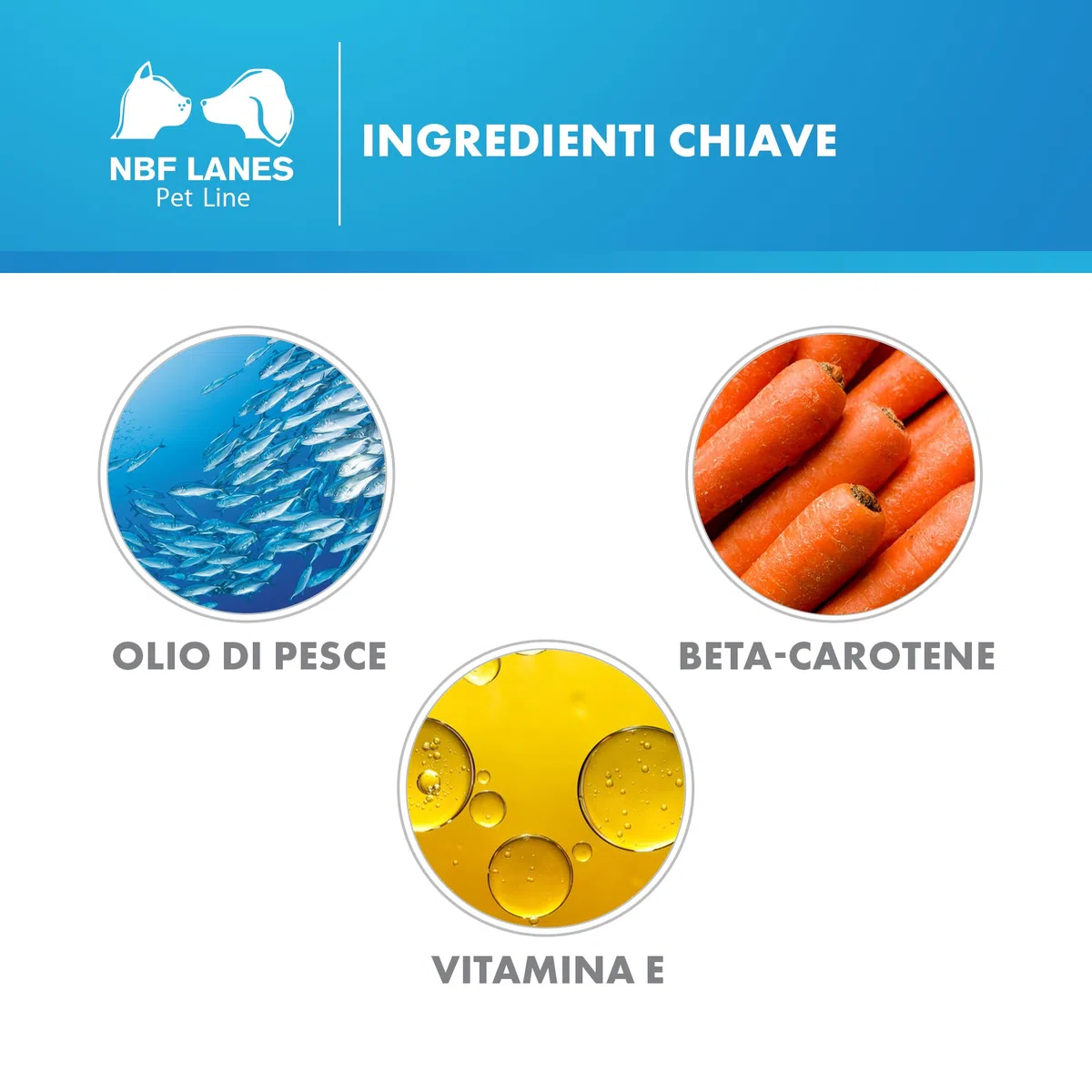 NBF Lanes | Resurgen Cane e Gatto, 60 Perle Appetibili, per il Normale Mantenimento del Metabolismo Energetico