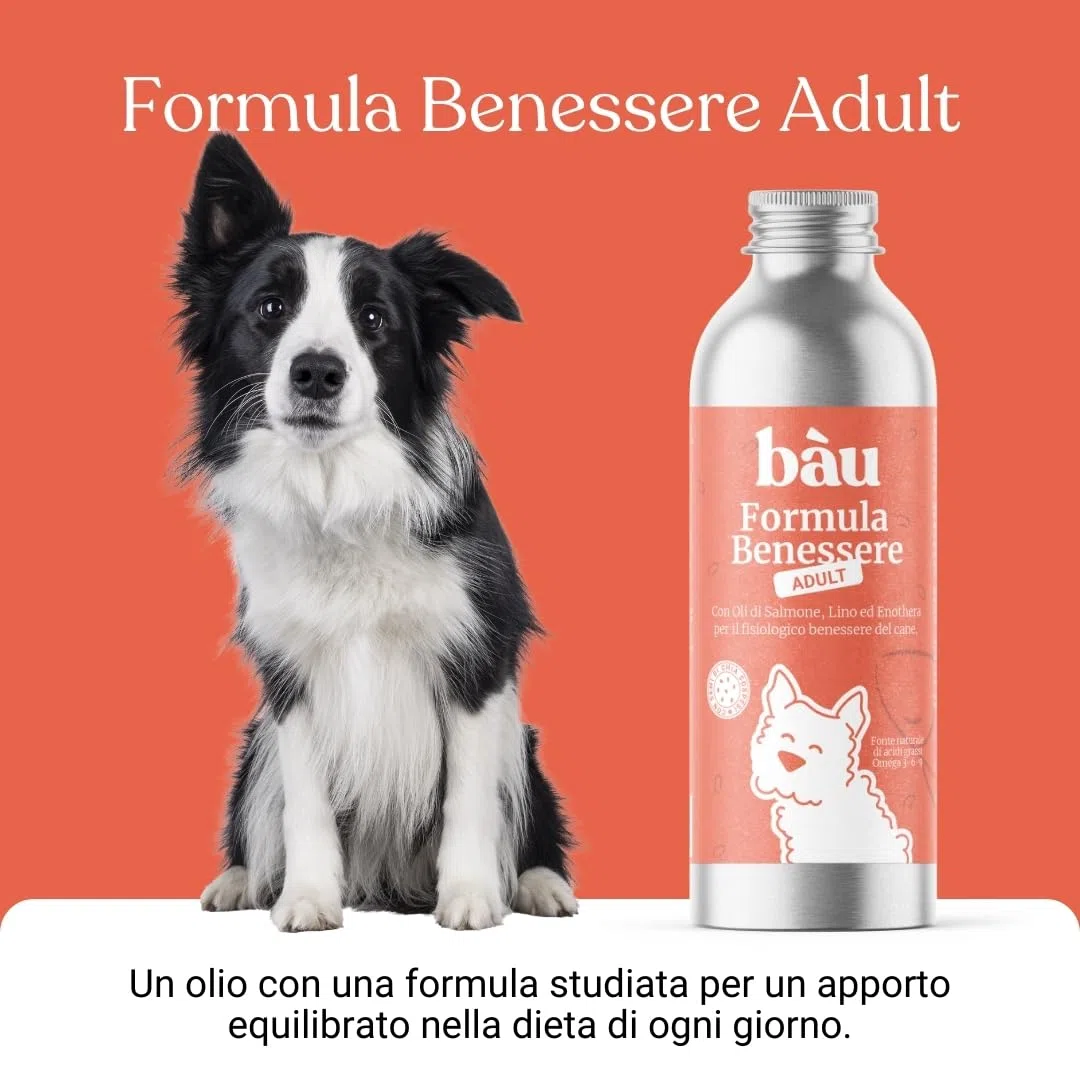 Bau Olio di Salmone per Cani Adulti con Semi di Lino ed Enotera – Omega 3 e 6 Naturali – Supporto per Pelle, Pelo Lucido e Vitalità – Integratore Liquido per Cani - Adulti