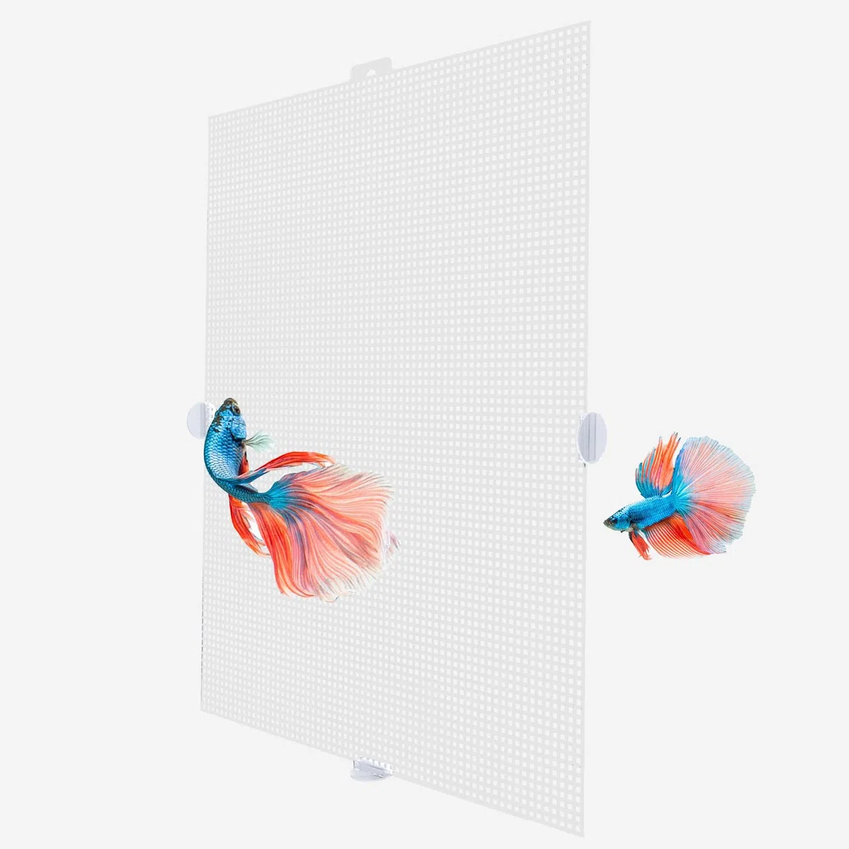2 Pezzi Divisori per Acquario in Plastica Trasparente 26x33,5 cm Griglia Divisoria per Acquario