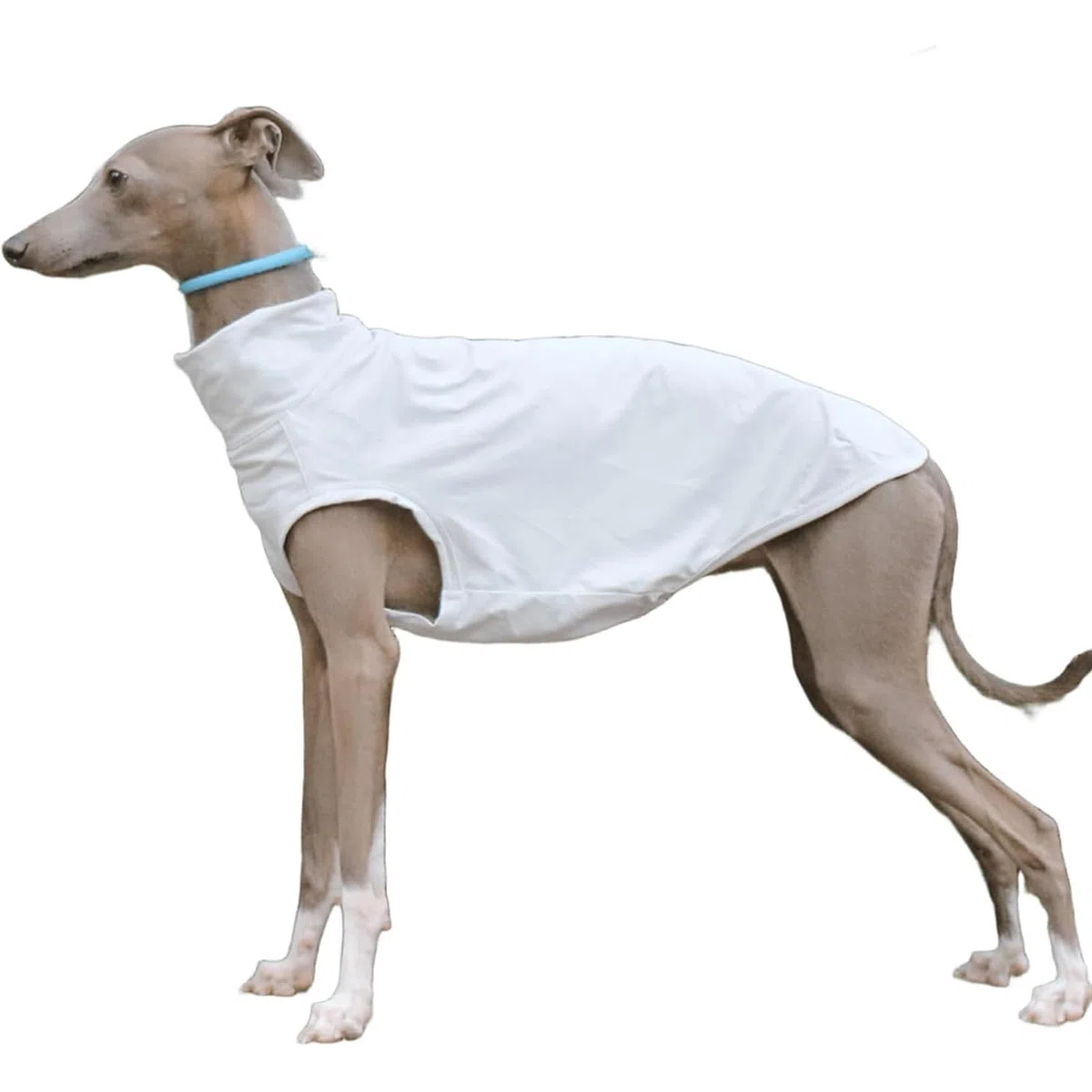 T-shirt Levriero Italiano Per Cani Di Taglia Piccola E Media, Gilet Estivo Leggero E Fresco, Vestiti Whippet, Camicie Traspiranti Per Animali Domestici, Abbigliamento Da Esterno(Gray,M)