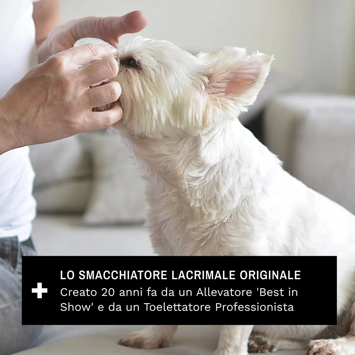 Eye Envy Kit per smacchiare lacrima del Cane | Tear Stain Essentials in Un Kit in Un Sistema a 2 Fasi | Dura 30-45 Giorni | Soluzione 2 Once fluide