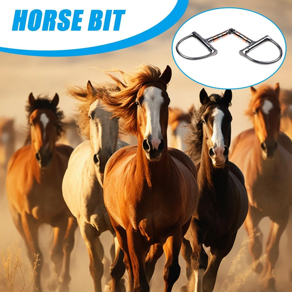 da addestramento per , con anello a D con bocca a rullo in rame, punta singola per equitazione e allenamento
