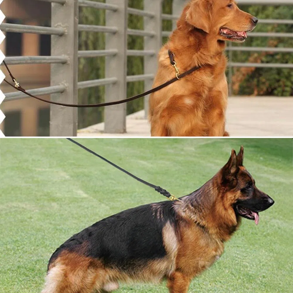 Guinzaglio per Cani Lunghezza 3 Metri in Vera Pelle Mano Marrone Intrecciata per Cane o Medio Regolabile di Addestramento (2 m)