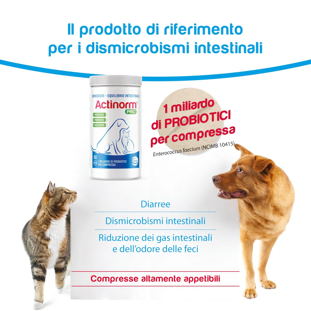 Actinorm Pro - Bioregolatore naturale della funzionalità intestinale per cani e gatti, 60 Compresse