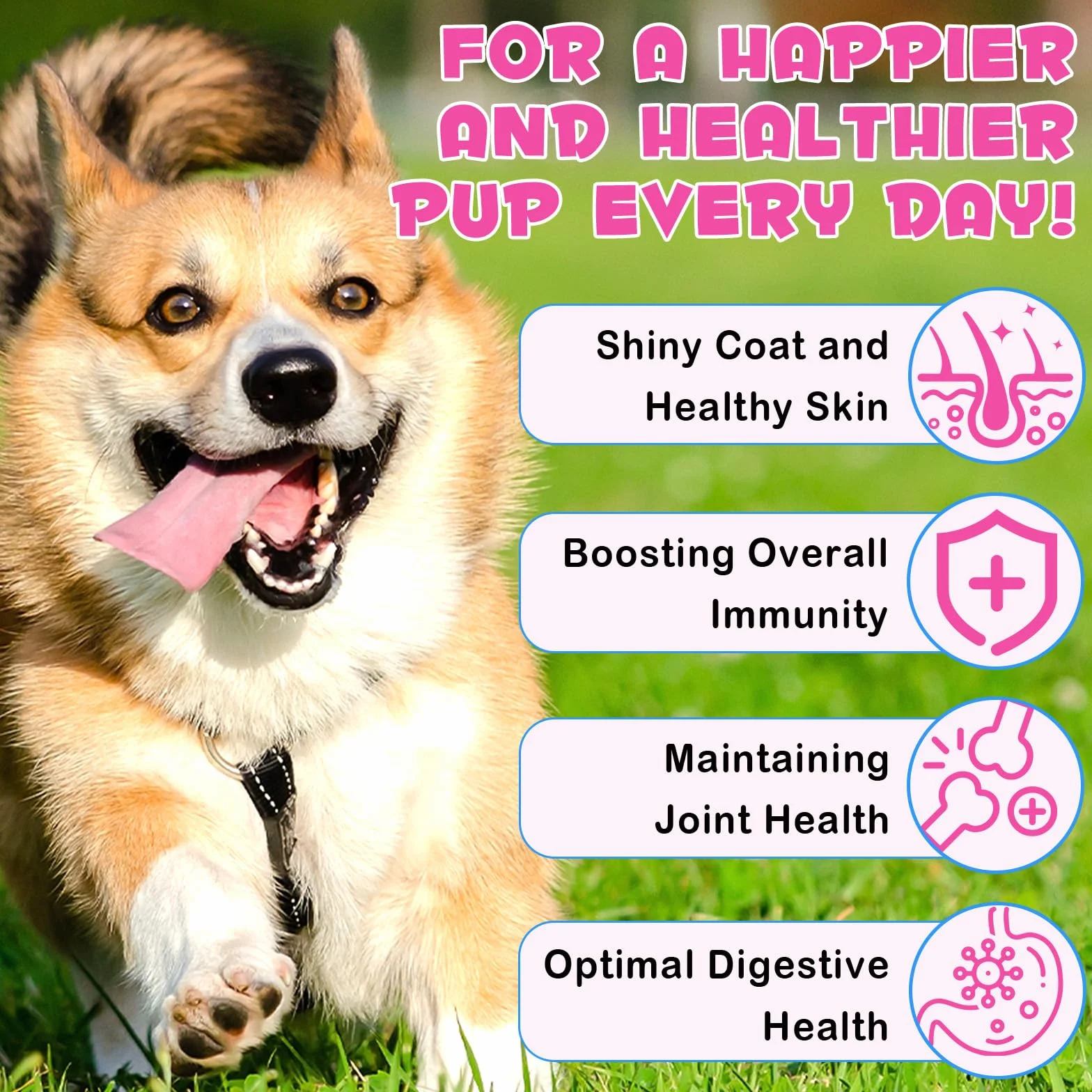 Collagene per Cani, Gocce di Collagene per Cani 60 Ml, Potenziamento del Collagene, Ricco di Biotina, Aiuta La Salute della Pelle, delle Articolazioni E Dell'Apparato Digerente (1pcs, Bacon)