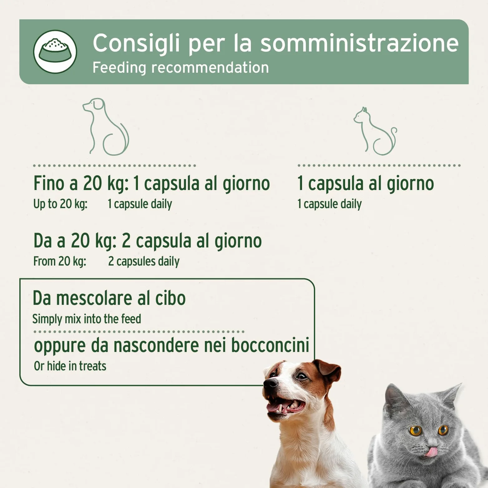 AniForte Omega-3 Capsule di olio di salmone per cani e gatti 200 Capsule - Natura pura, ottimizza il metabolismo, prezioso per la formazione delle ossa, la costituzione e il mantello lucido
