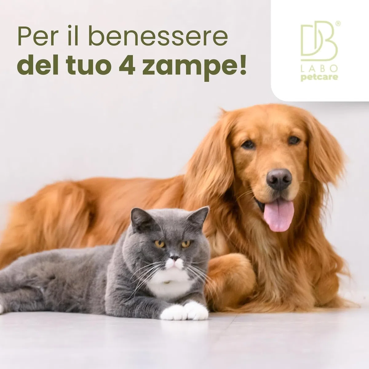 Spray Anti Prurito per Cani e Gatti 250ml | Lenisce Fastidio, Prurito e Dermatite Cane e Gatto | Formula Naturale a Base di Aloe Vera, Camomilla e Rosmarino | Sicuro, Vegan per Tutte Le età