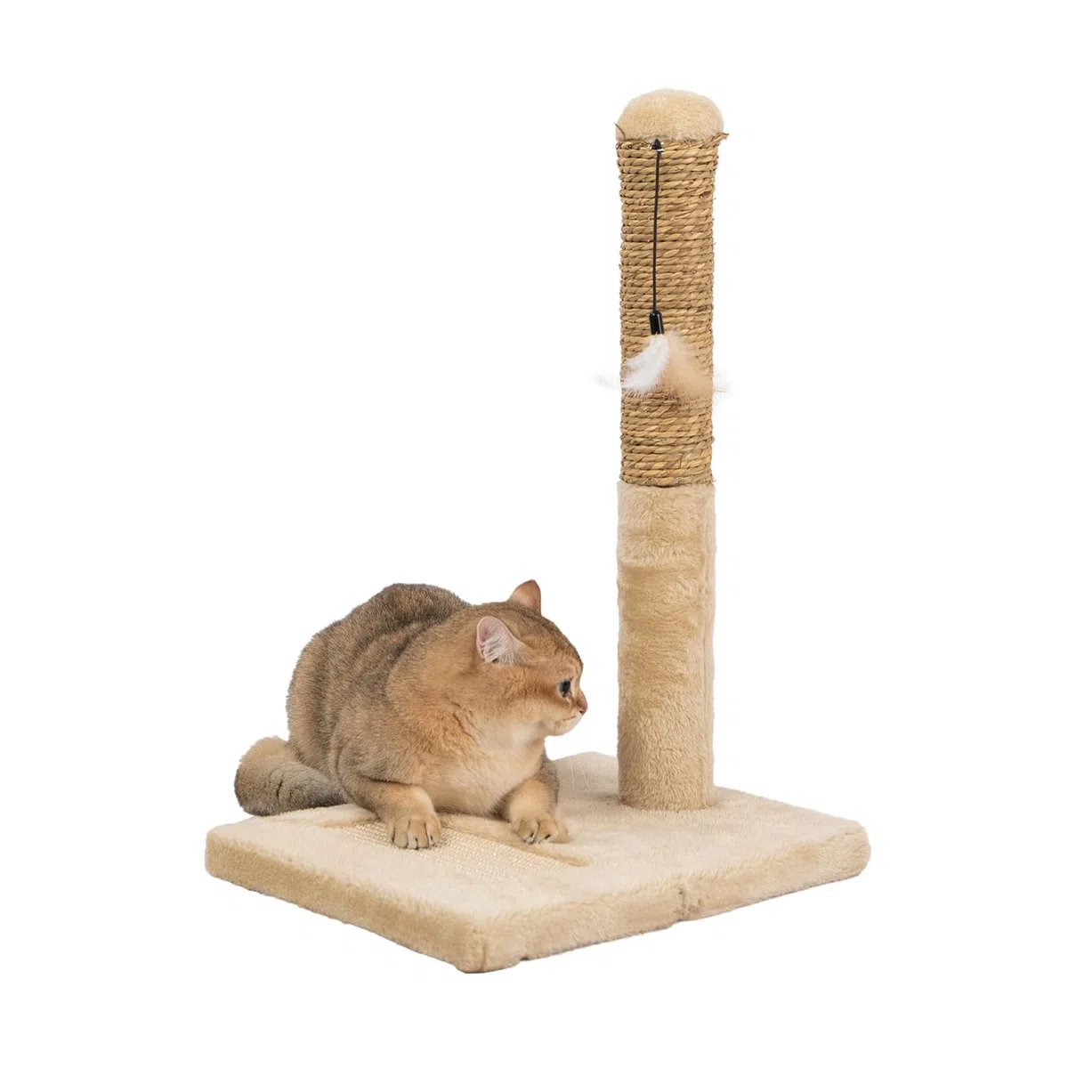 Tiragraffi per Gatti Rivestito in Sisal Naturale altezza 52 cm, Gioco per Gatti - Beige