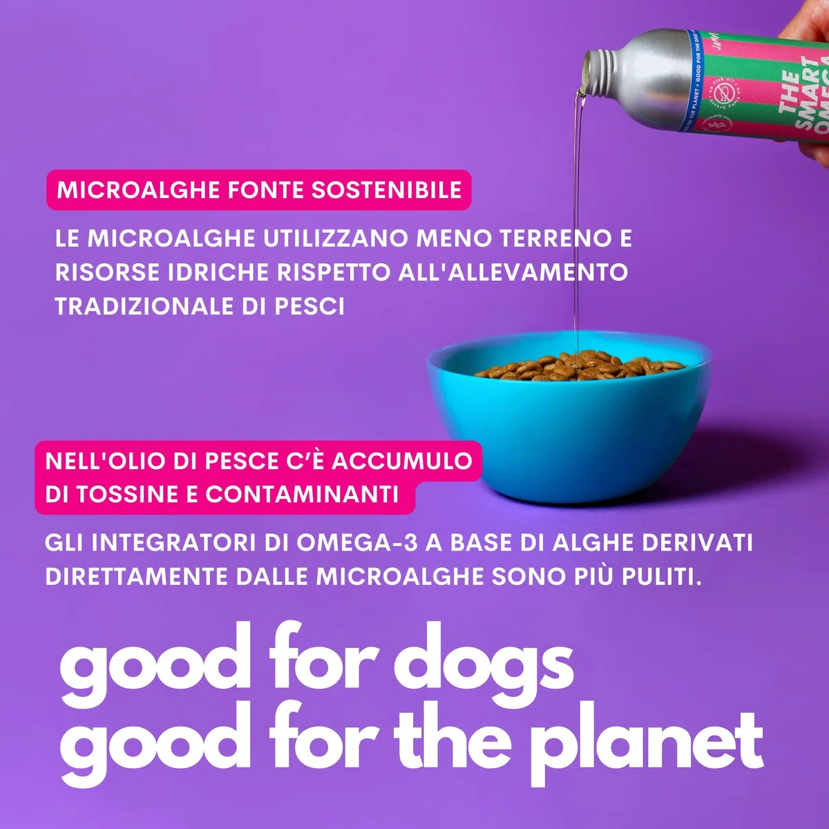 JAMPY The Smart Omega - Omega3 Vegano Senza Ritorno di Gusto e Odore di Pesce - Integratore per Pelle, Pelo, Prurito. Base di Microalghe e Ribes. Antiossidante, Ipoallergenico. PLASTIC-FREE Pack.
