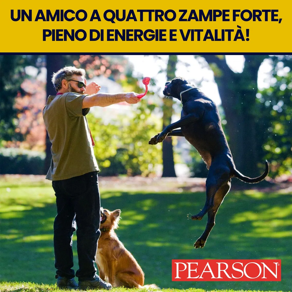 Pearson Purissimo Olio di Fegato Di Merluzzo Veterinario per Cani, Gatti, Cavalli e altri animali. Pelo lucido e Sano, Fonte di Vitamine e Omega3. (1000 ML)