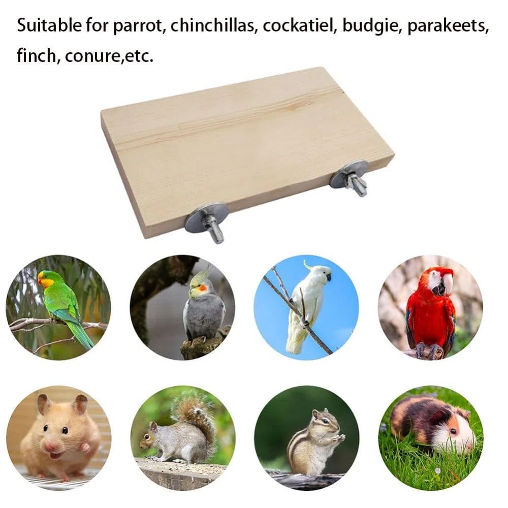 Piattaforma piatta in legno per uccelli, 2 pezzi, piattaforma per arrampicata per animali domestici, accessori per piccoli animali, parrocchetti, pappagalli, cincillà, criceti, ratti, topi e