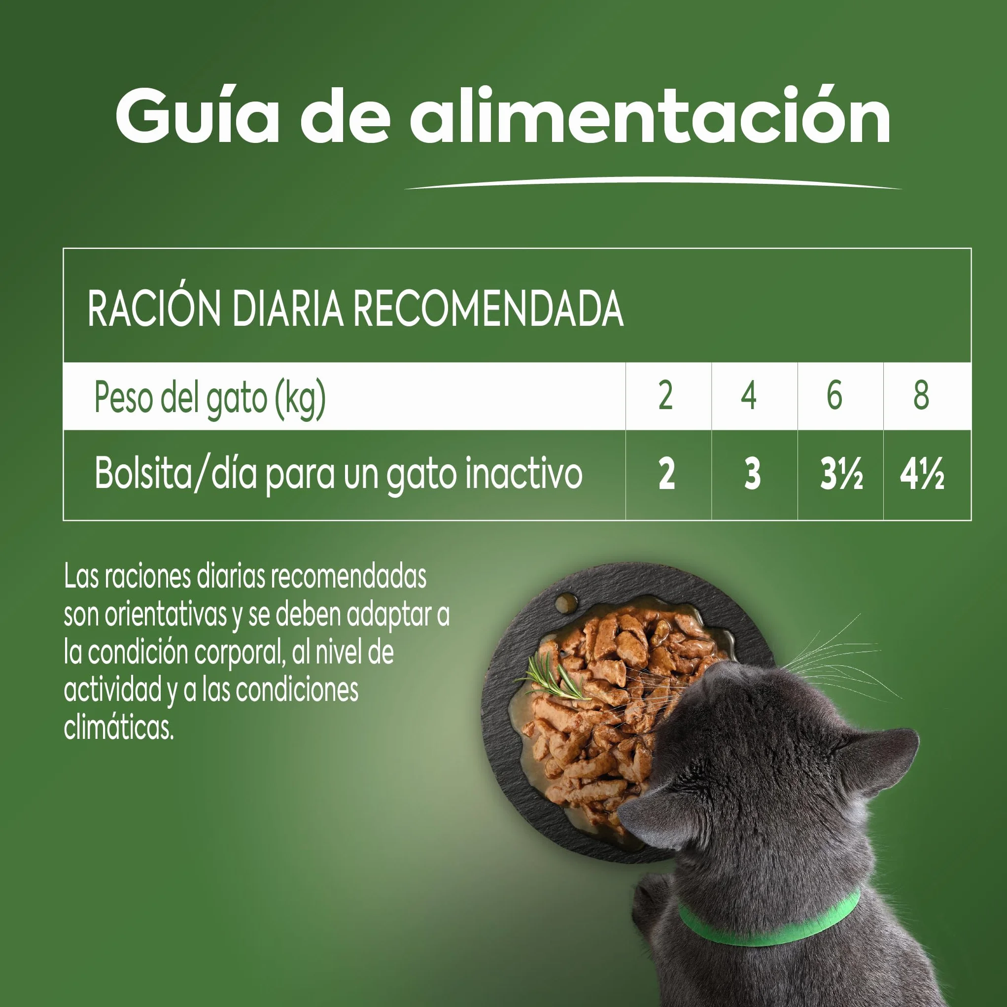Ultima Cibo Umido Per Gatti Con Varietà Di Pesce - 4 X 85Gr X 12 (4,08 Kg) - 4080 g