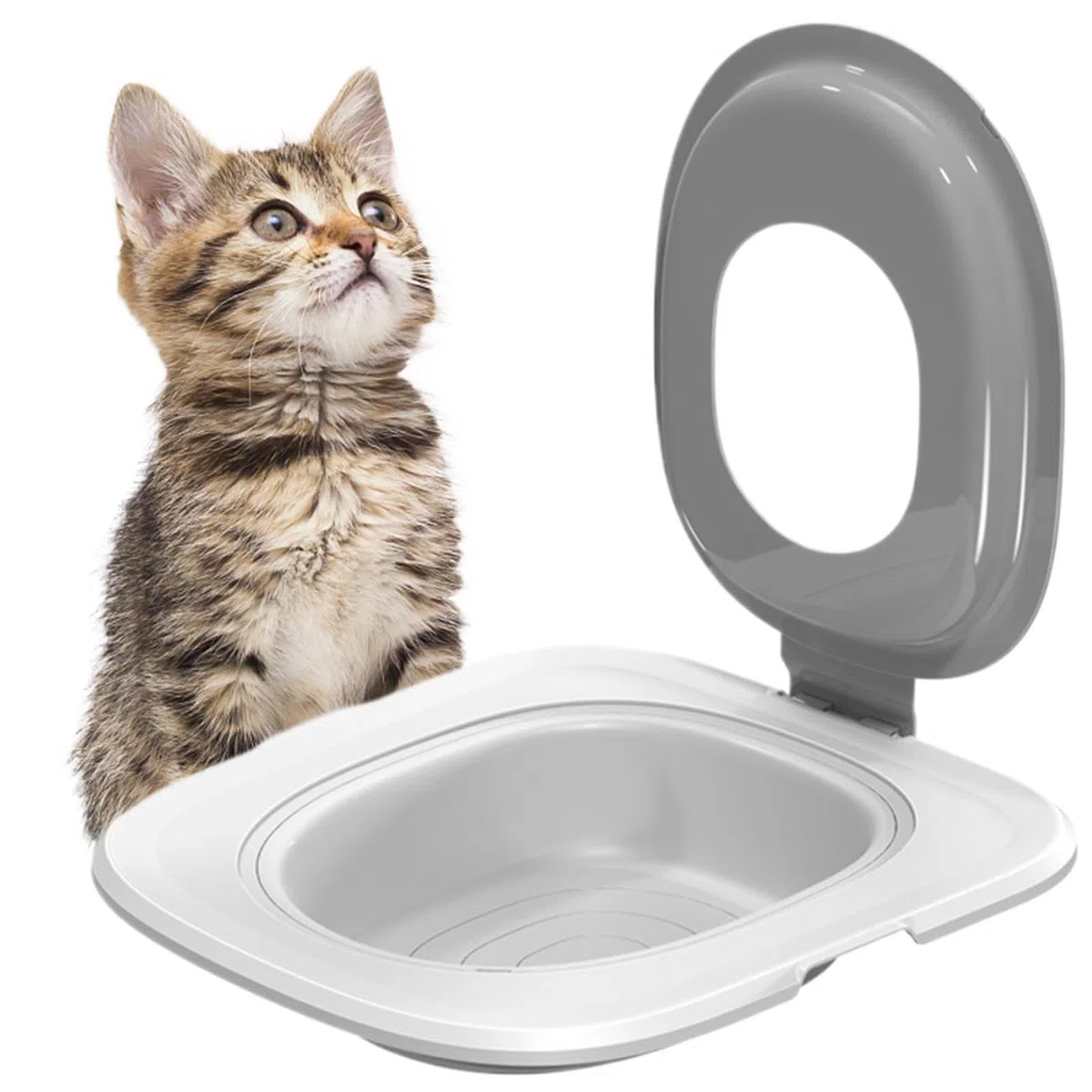 Kit Di Addestramento Per Toilette Per Gatti - Addestratore Per Toilette Per Gatti, Adattatore Per Sedile WC Portatile Per Gatti | Tappetino Per Gatti Riutilizzabile Con Sabbiera, Addestramento Al Vasi