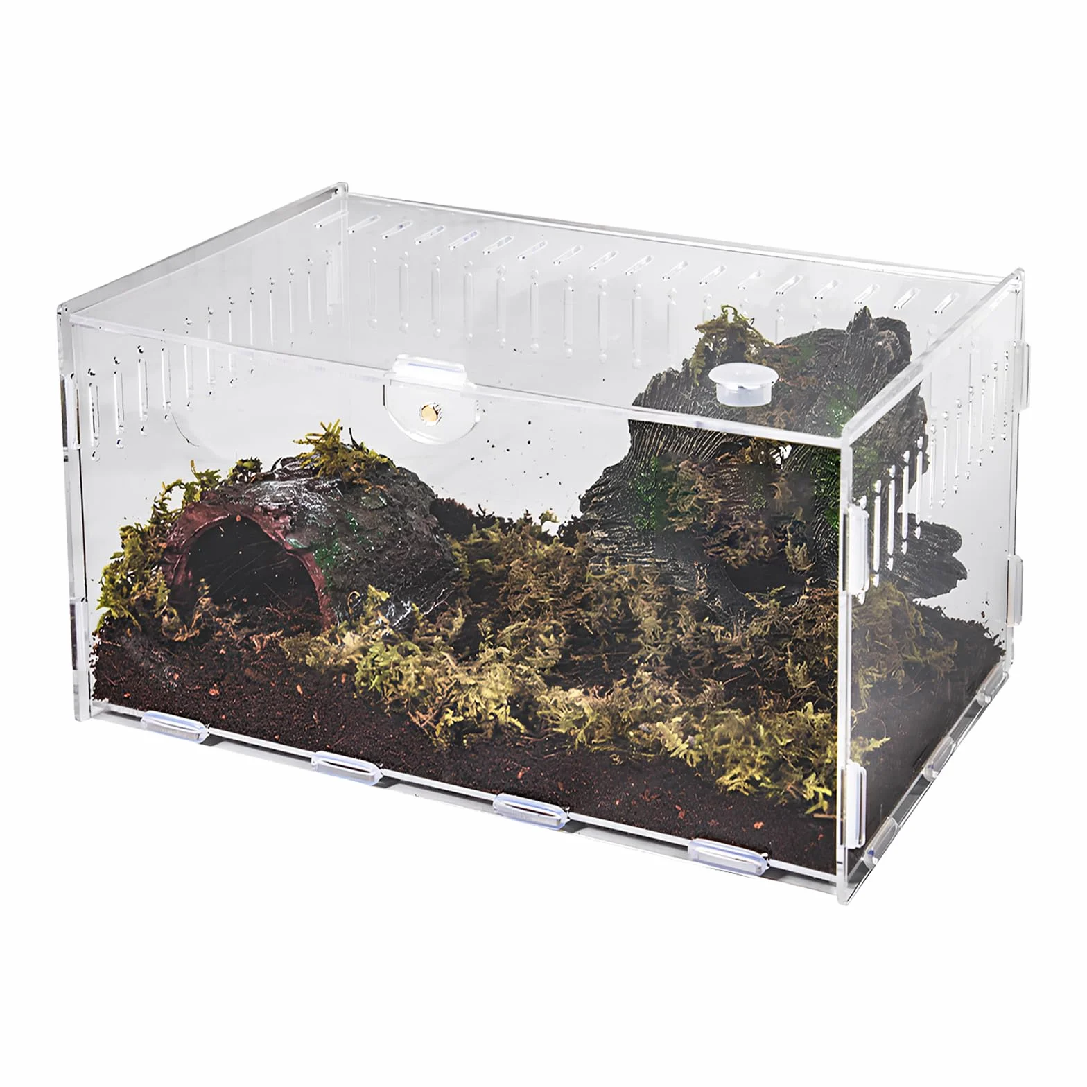Terrario a Lumache, Contenitore per l'alimentazione Degli Insetti, Trasparente Terrario in Acrilico per Lumache, Tartarughe d'acqua, Ragni, Criceti, Granchi Eremita, Lucertola (20×12×12 cm)