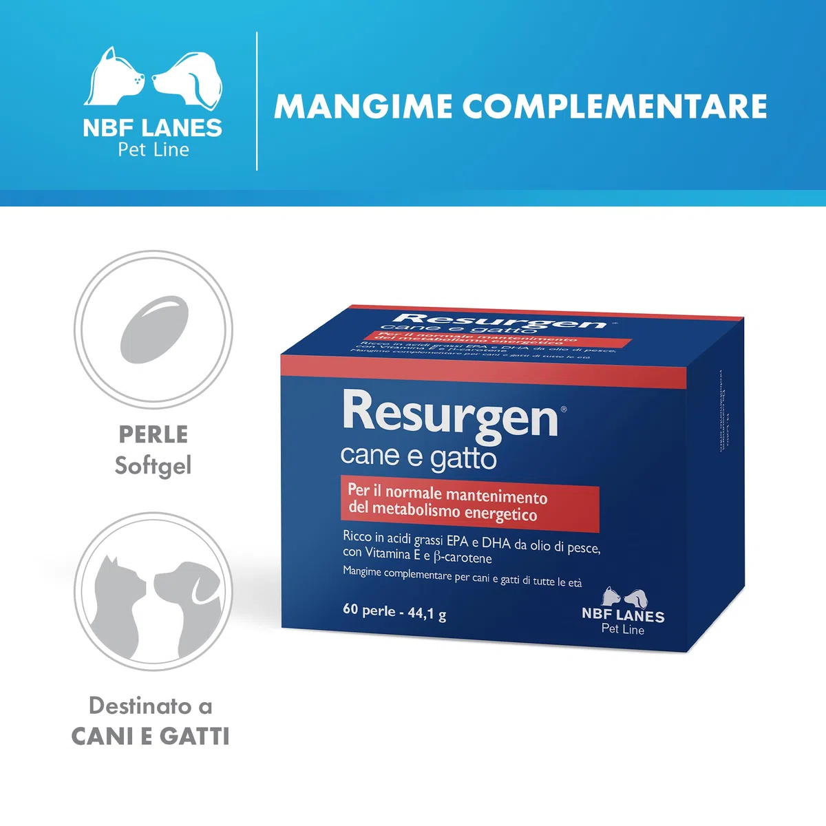 NBF Lanes | Resurgen Cane e Gatto, 60 Perle Appetibili, per il Normale Mantenimento del Metabolismo Energetico
