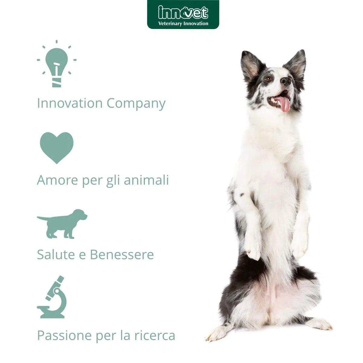 Oleea - Formulazione Liquida, 60 ml - per la Salute del Cane e del Gatto in Sovrappeso o Obeso - Protegge dai Danni Legati all'Eccesso di Grasso Corporeo