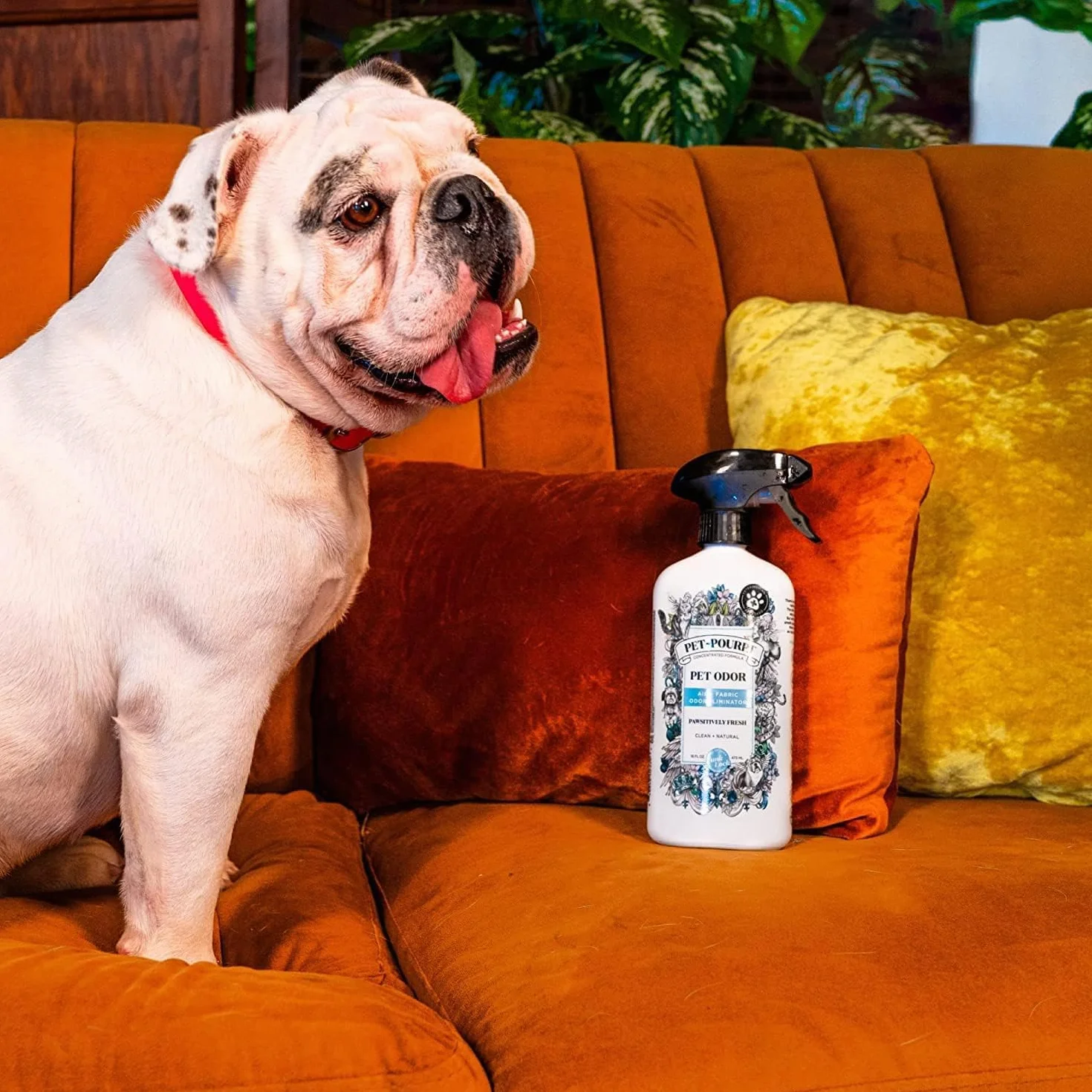 Poo-Pourri Pet-Pourri Pawsitively Fresh 473 ml
