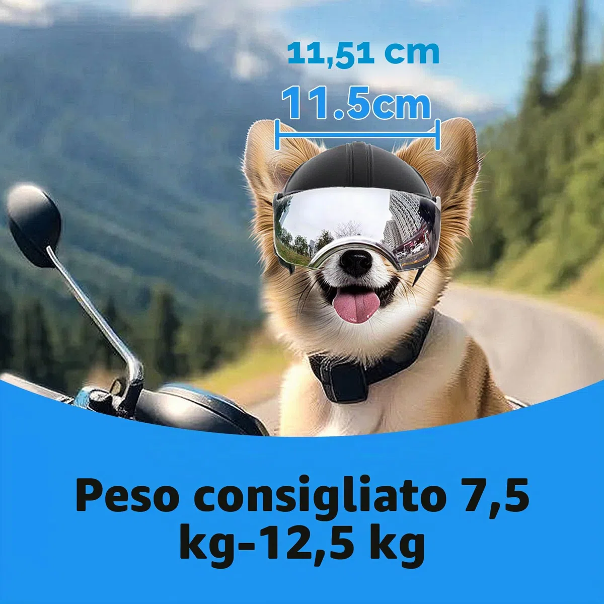 Enjoying Casco per Cani con Fori per le Orecchie, Casco per Animali con Lenti Argentate, Protezione UV, Protezione Dalla Sabbia, Adatto per Cani di Peso Compreso tra 7,5 e 12,5 kg