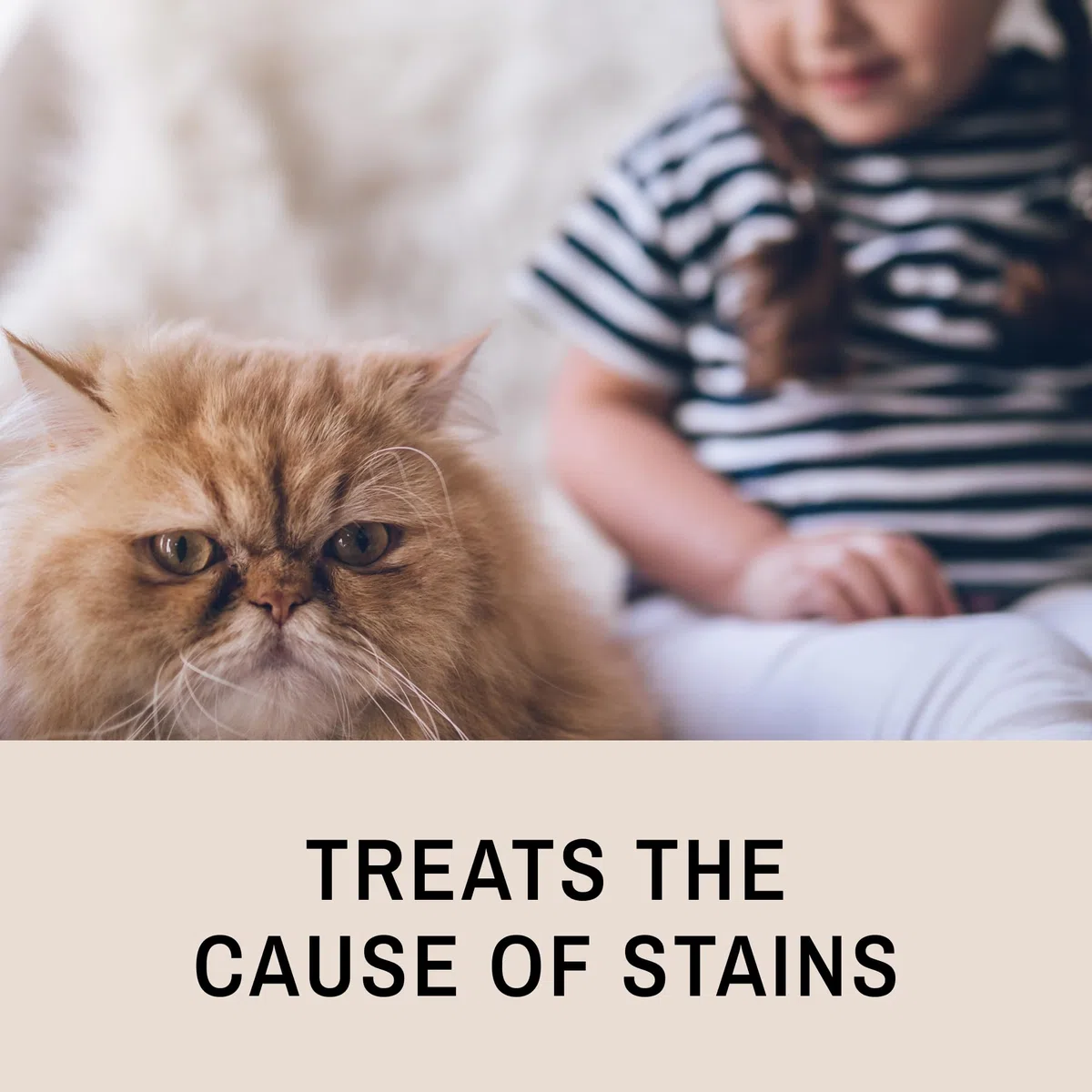 Eye Envy Tear Stain Remover Solution for Cats|100% Natural And Safe|Recommended by Breeders/vets/Cat fanciers/Groomers|Contains colloidal Silver|Remove Stains from Fur on Persians And Exotics (4oz)