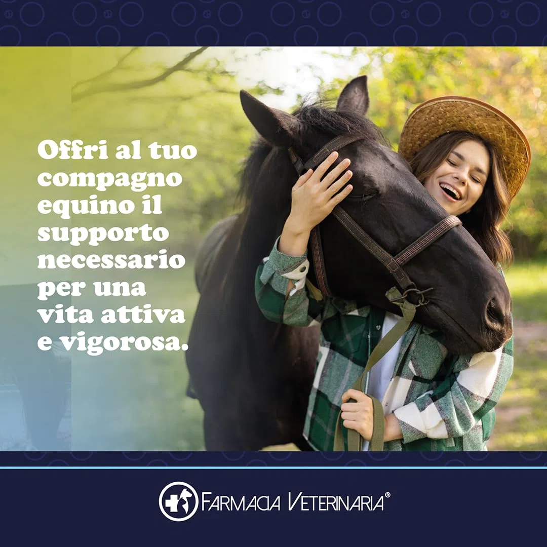 Farmacia Veterinaria Active Horse Probiotici e Vitamine. Rafforza le Difese Immunitarie e Previene Problemi Gastrointestinali. Potenzia il Metabolismo. Previene le Coliche Integratore per Cavalli 1Kg